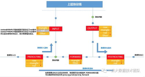 Linux虛擬網絡技術 軟硬件協同開發的關鍵基石